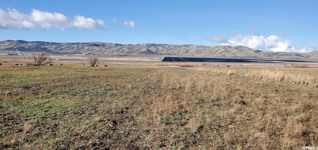 Mona, UT 84645 — photo 4