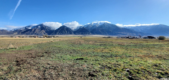 Mona, UT 84645 — photo 7