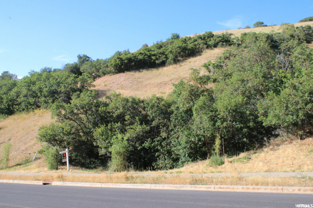 475 E Hidden Lakes Dr #318, Bountiful, UT 84010 — photo 3