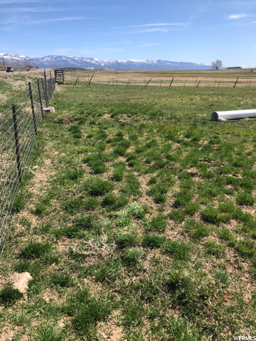 Moroni, UT 84646 — photo 4