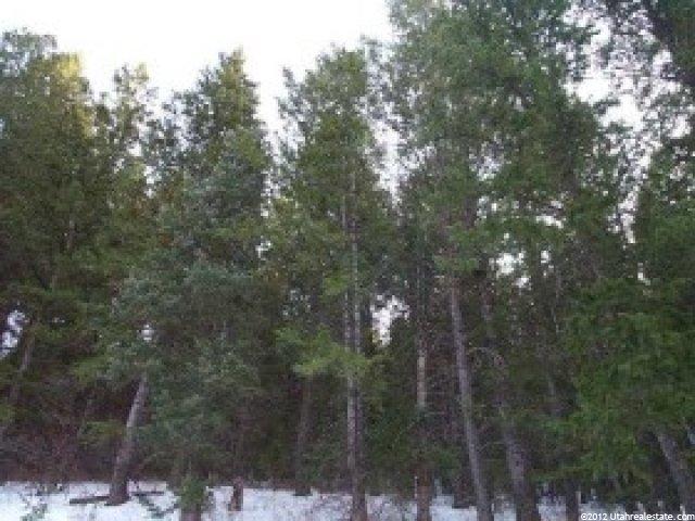 565 Matterhorn Dr, Park City, UT 84098 — photo 3