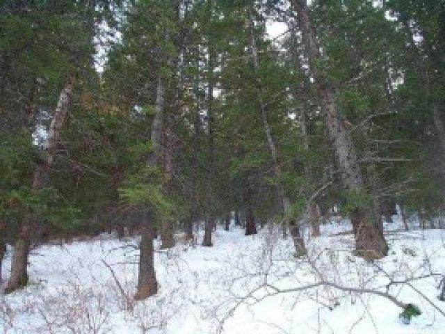 565 Matterhorn Dr, Park City, UT 84098 — photo 4