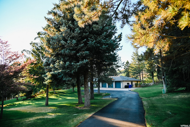 1445 E 250 N, Bountiful, UT 84010 — photo 5