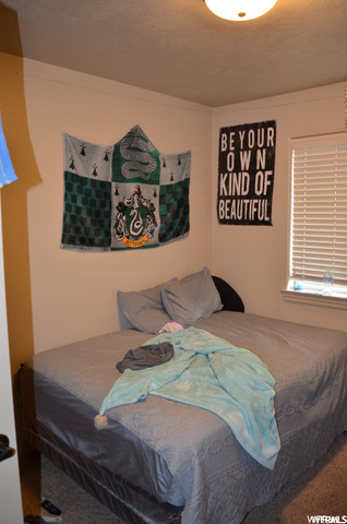 294 E 500 N, Roosevelt, UT 84066 — photo 8