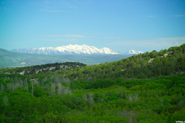 23449 N 13835 E #74, Fairview, UT 84629 — photo 3