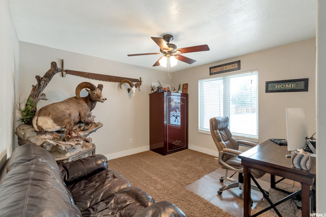 286 N 525 E, Levan, UT 84639 — photo 8