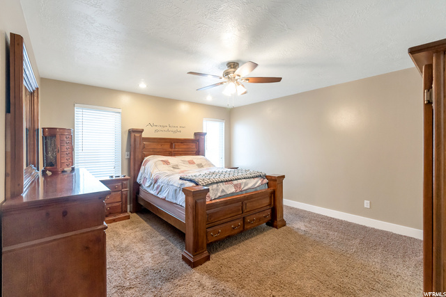 286 N 525 E, Levan, UT 84639 — photo 10