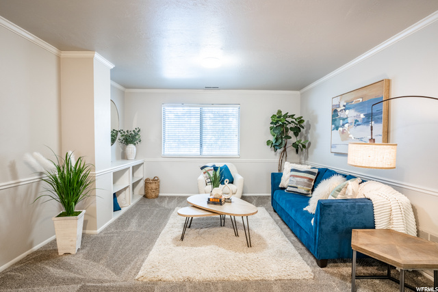 Extra Large and open living room.