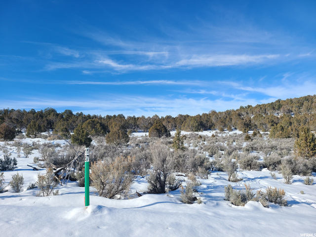 #19, Indianola, UT 84629 — photo 7