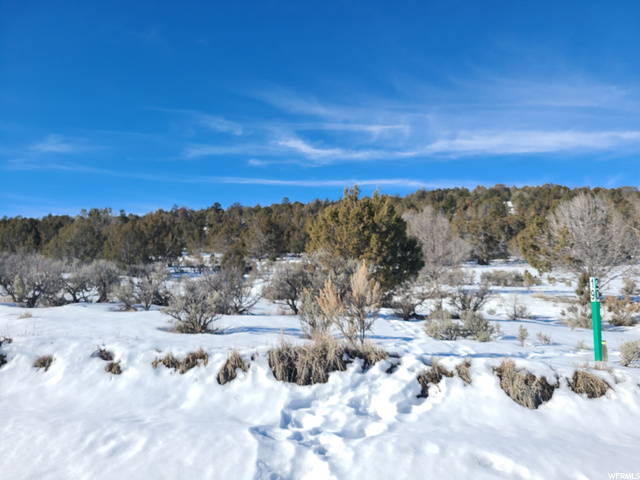 #33, Indianola, UT 84629 — photo 8