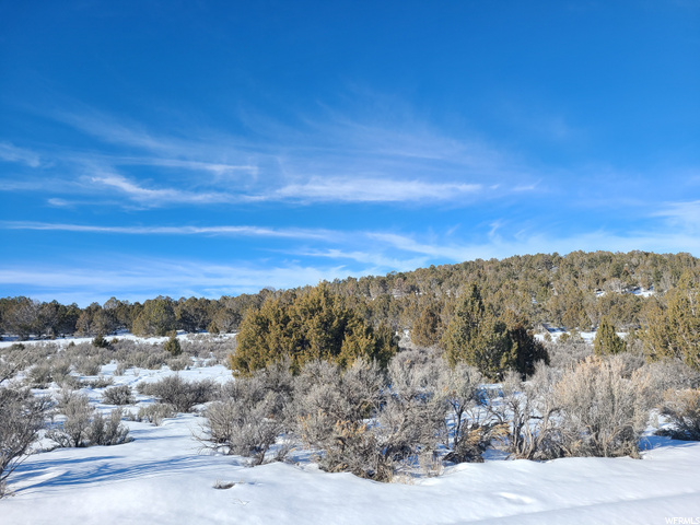 #34, Indianola, UT 84629 — photo 9
