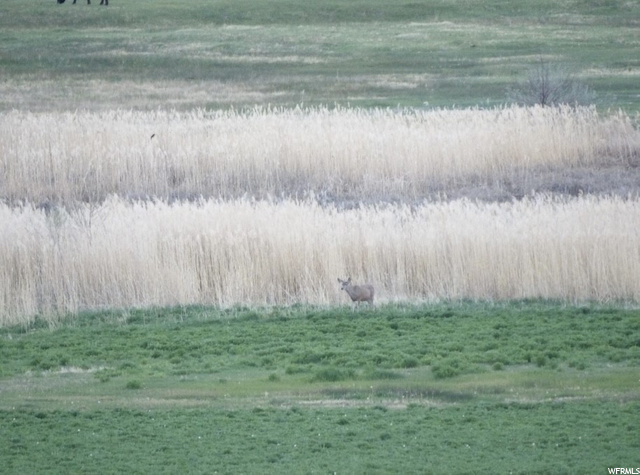 171 N 2850 E, Vernal, UT 84078 — photo 8