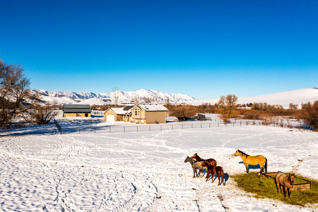 1635 E Canyon Rd, Paradise, UT 84328 — photo 7