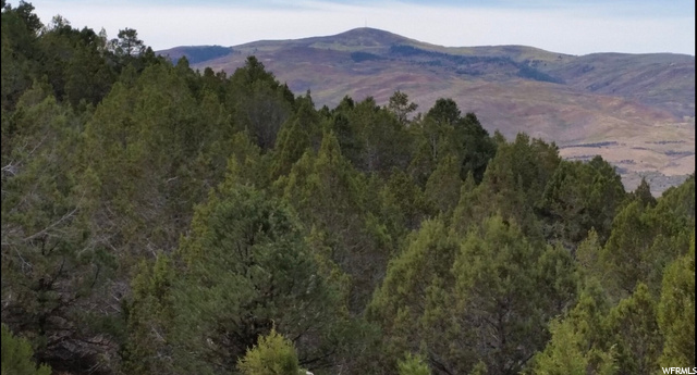 #76, Indianola, UT 84629 — photo 2