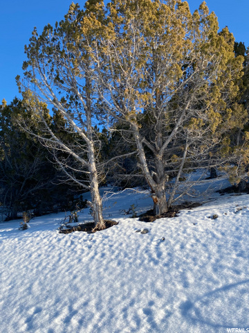 #115, Indianola, UT 84629 — photo 10