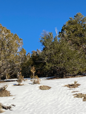 #116, Indianola, UT 84629 — photo 4