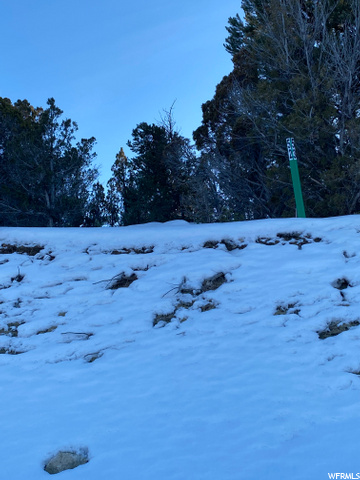 #116, Indianola, UT 84629 — photo 9