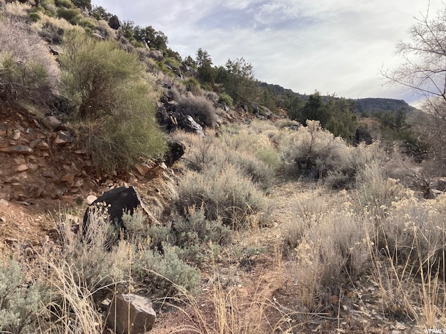 Wells Fargo, Brookside, UT 84782 — photo 5