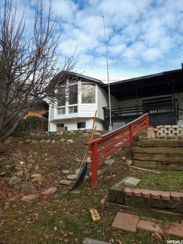 Back yard