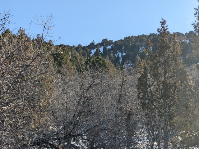 #20, Spring City, UT 84662 — photo 9