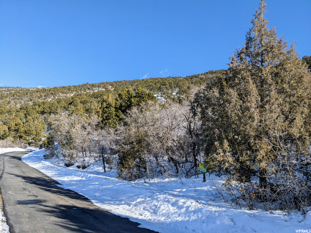 #20, Spring City, UT 84662 — photo 4
