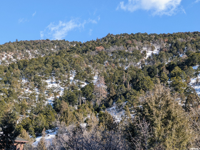 #20, Spring City, UT 84662 — photo 5