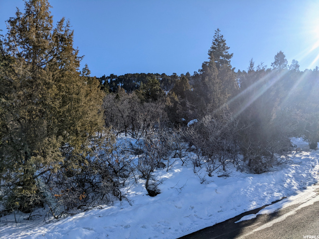 #20, Spring City, UT 84662 — photo 2