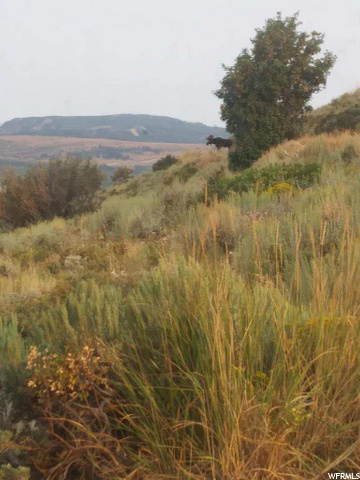 #27, Paradise, UT 84328 — photo 3