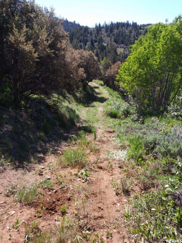 #27, Paradise, UT 84328 — photo 4