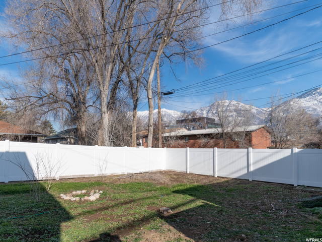 Fenced Back yard