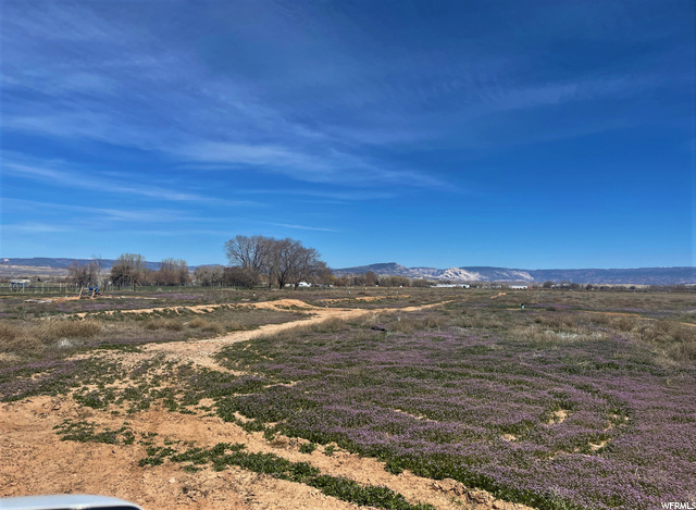 2685 S 500 E, Naples, UT 84078 — photo 6
