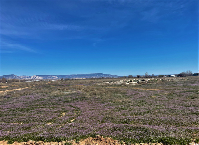 2685 S 500 E, Naples, UT 84078 — photo 8
