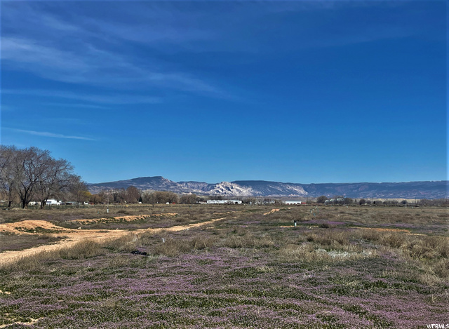 2685 S 500 E, Naples, UT 84078 — photo 9