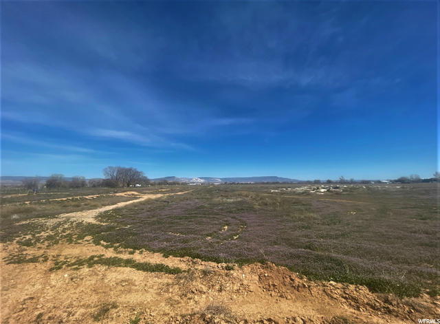 2685 S 500 E, Naples, UT 84078 — photo 10