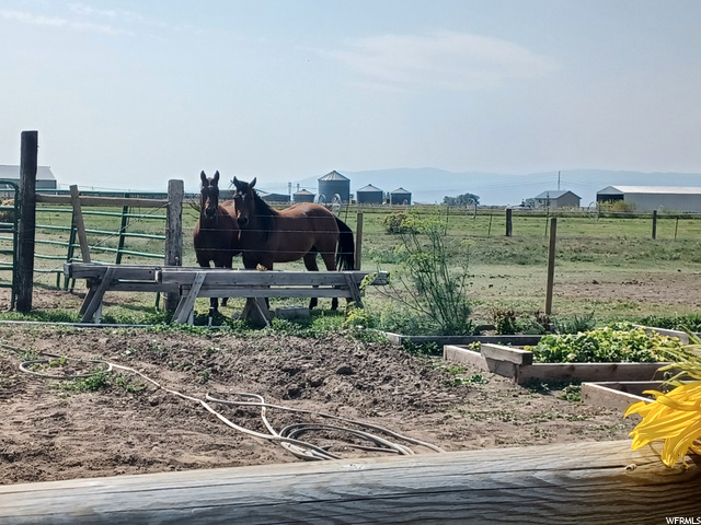 1985 Bench Rd, Montpelier, ID 83254 — photo 5