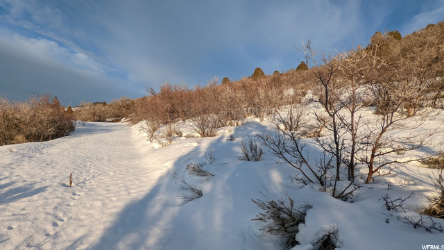 729 Splendor Rd #79, Kamas, UT 84036 — photo 8