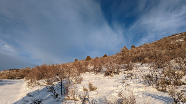 729 Splendor Rd #79, Kamas, UT 84036 — photo 5