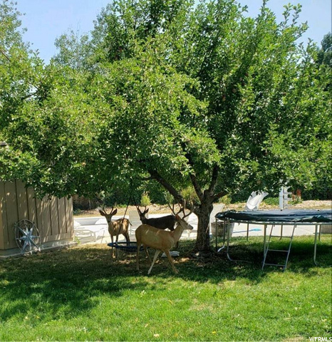 2740 N 4950 E, Eden, UT 84310 — photo 10