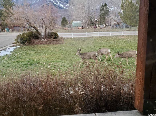 2740 N 4950 E, Eden, UT 84310 — photo 11