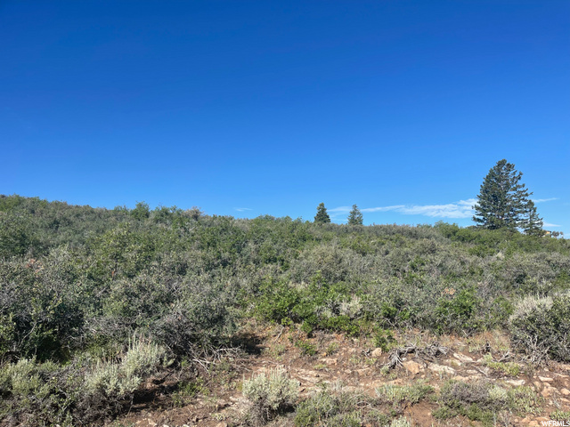 #36, Fruitland, UT 84027 — photo 5