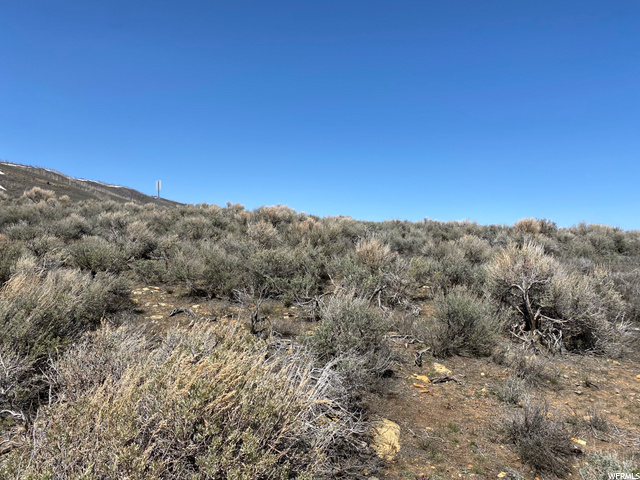 #5, Scofield, UT 84526 — photo 4