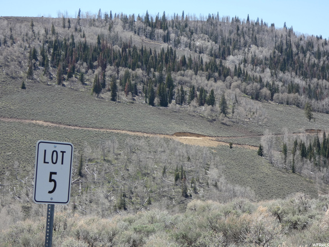 #5, Scofield, UT 84526 — photo 10