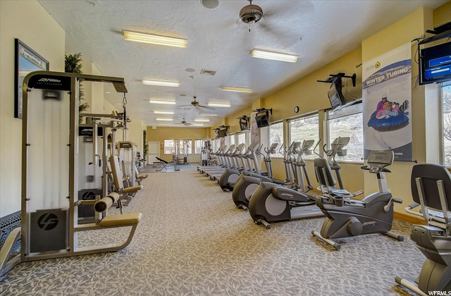 Wellness Center