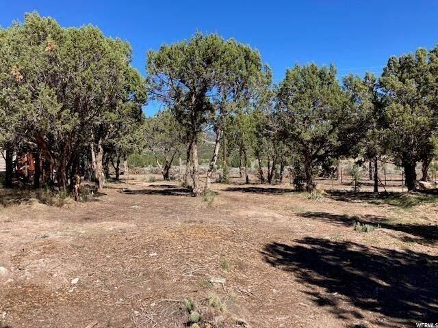#21, Central, UT 84722 — photo 2