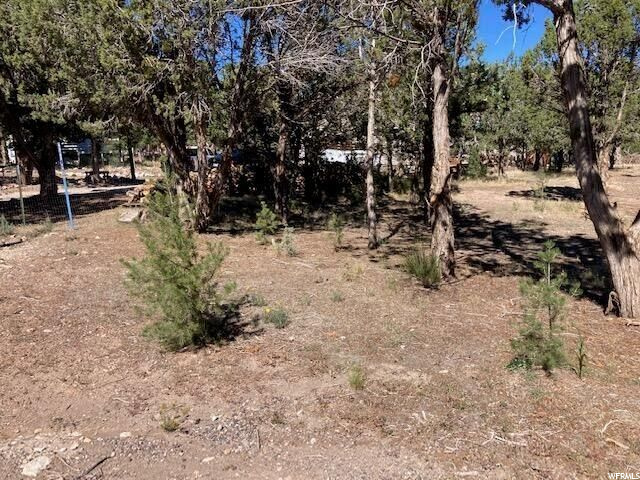#21, Central, UT 84722 — photo 4