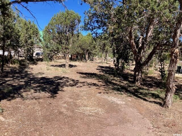 #21, Central, UT 84722 — photo 3