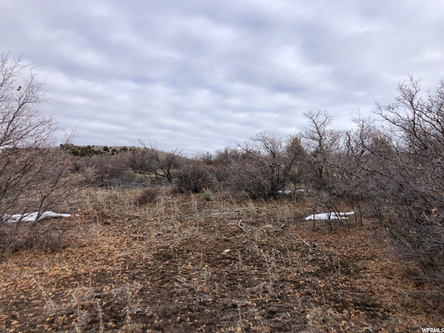 425 N 2000 E, Fillmore, UT 84631 — photo 4