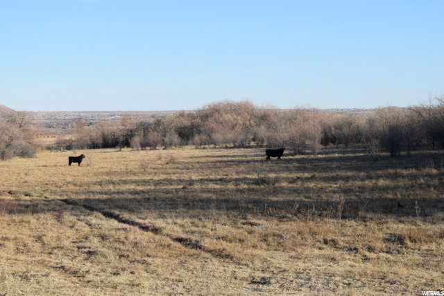 7130 E 8500 N, Lapoint, UT 84039 — photo 8