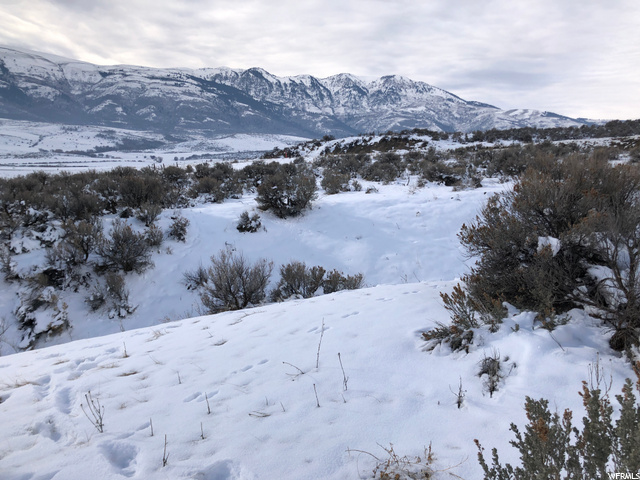 1, Clifton, ID 83228 — photo 10
