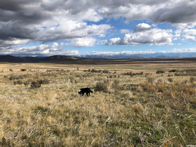 1, Clifton, ID 83228 — photo 5